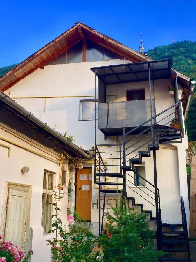 Downtown Hostel Braşov Dış mekan fotoğraf