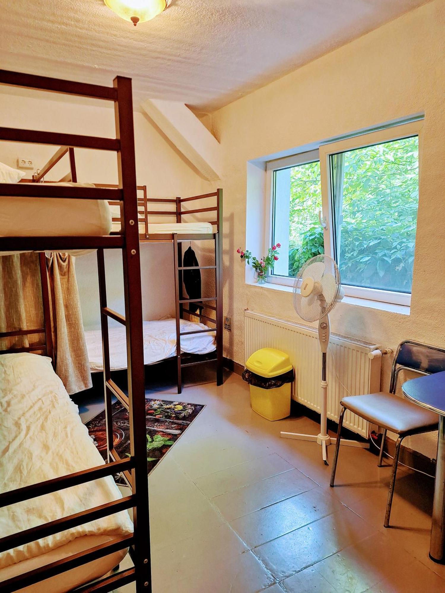 Downtown Hostel Braşov Dış mekan fotoğraf