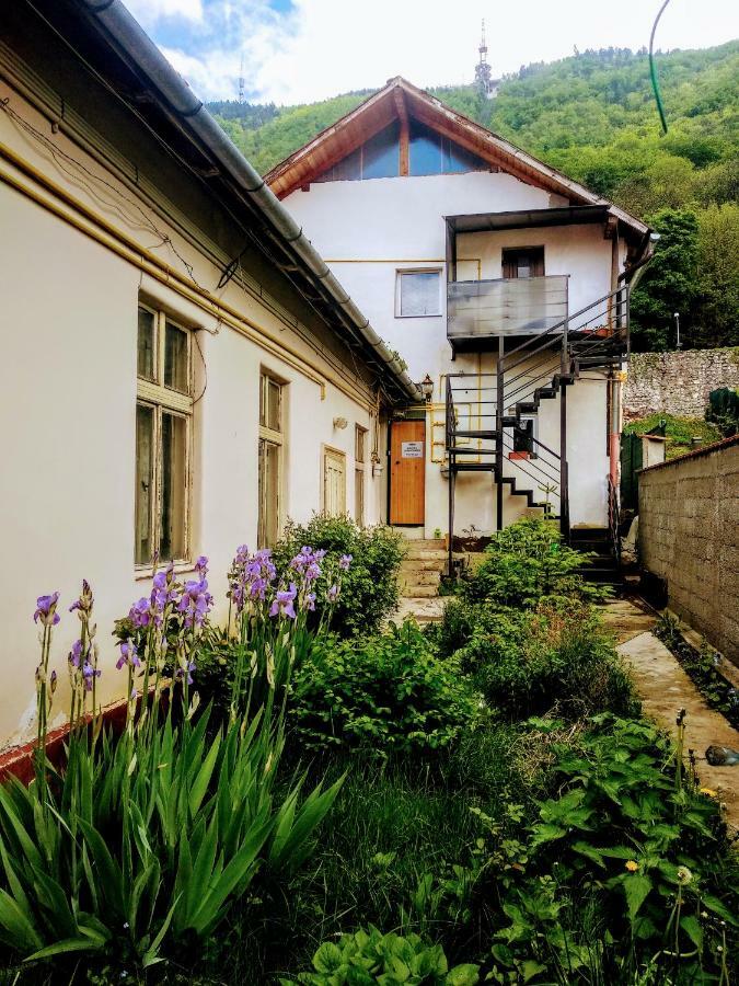 Downtown Hostel Braşov Dış mekan fotoğraf